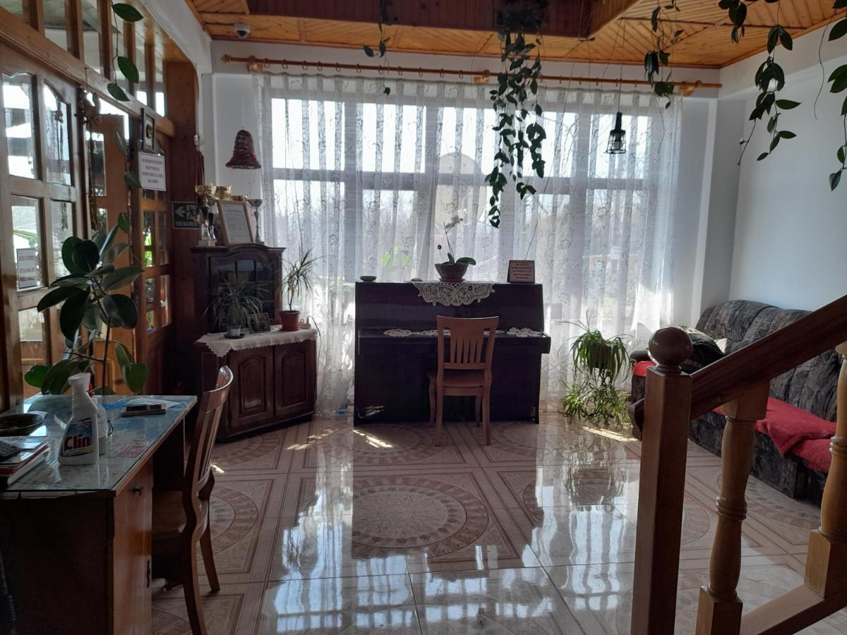 Pensiunea Anda Tulcea Buitenkant foto