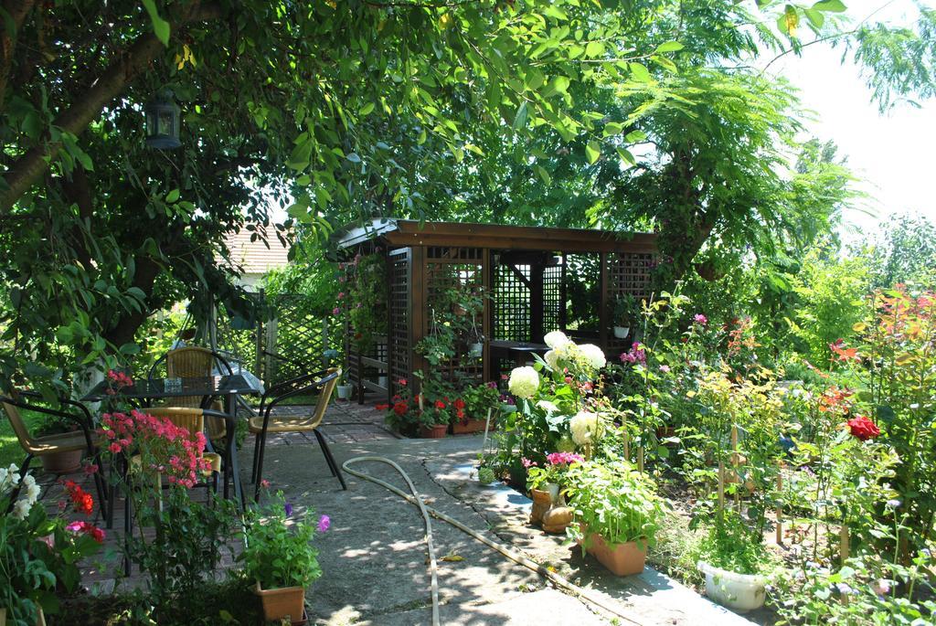 Pensiunea Anda Tulcea Buitenkant foto